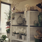 岐阜県岐阜市の花屋　ｆｌｏｗｅｒ　ｓｈｏｐ　　おかだ